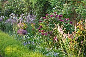 MOTTISFONT ABBEY, HAMPSHIRE: WALLED ROSE GARDEN, ALLIUM CHRISTOPHII, WALLS, WALLED, ROSES, PINK, SUMMER, BORDERS