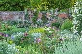 MOTTISFONT ABBEY, HAMPSHIRE: WALLED GARDEN, SUMMER, PERGOLAS, ARCHES, ROSES, PINK, WHITE, FLOWERING, FLOWERS, BORDERS, WALLS