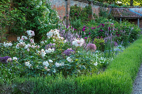 MOTTISFONT_ABBEY_HAMPSHIRE_WALLED_GARDEN_SUMMER_ROSES_PINK_WHITE_FLOWERING_FLOWERS_BORDERS_WALLS