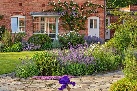 MORTON_HALL_WORCESTERSHIRE_THE_WEST_GARDEN__LAWN_ROSA_CLARENCE_HOUSE_ON_WALL_ROSA_KEW_GARDENS_NEPETA