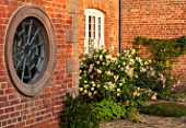 MORTON HALL, WORCESTERSHIRE: THE WEST GARDEN AT SUNSET: SPIDER WINDOW, HOUSE WALL, CARPENTERIA CALIFORNICA. DECIDUOUS, SHRUBS, JUNE, SUMMER, WHITE, FLOWERS