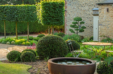 THE_OLD_RECTORY_QUINTON_NORTHAMPTONSHIRE_DESIGNER_ANOUSHKA_FEILER_FRONT_GARDEN__CLIPPED_TOPIARY_CARP