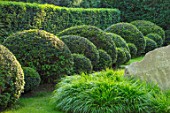 THE OLD RECTORY, QUINTON, NORTHAMPTONSHIRE: DESIGNER ANOUSHKA FEILER: FRONT GARDEN - LAWN, CLIPPED TOPIARY YEW BALLS, YEW HEDGE. HEDGES, HEDGING, GREEN, TAXUS, HAKONECHLOA MACRA