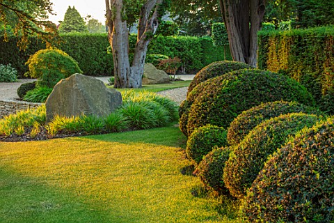 THE_OLD_RECTORY_QUINTON_NORTHAMPTONSHIRE_DESIGNER_ANOUSHKA_FEILER_FRONT_GARDEN__LAWN_CLIPPED_TOPIARY