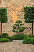 THE OLD RECTORY, QUINTON, NORTHAMPTONSHIRE: DESIGNER ANOUSHKA FEILER: FRONT GARDEN, GRAVEL DRIVE, HOUSE WALL, CLIPPED CLOUD PRUNED TOPIARY CARPINUS BETULUS, COMMON HORNBEAM