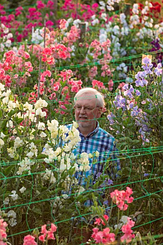 ROGER_PARSONS_SWEET_PEAS_WEST_SUSSEX_ROGER_PARSONS_IN_AMONGST_THE_NATIONAL_COLLECTION_OF_SWEET_PEAS_