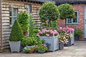 WOLLERTON OLD HALL, SHROPSHIRE: CONTAINERS BESIDE THE TEA HOUSE. VERSAILLES, TUBS, CLIPPED, TOPIARY, BOX, DOOR, ENTRANCE. POTS, BAY, TREES