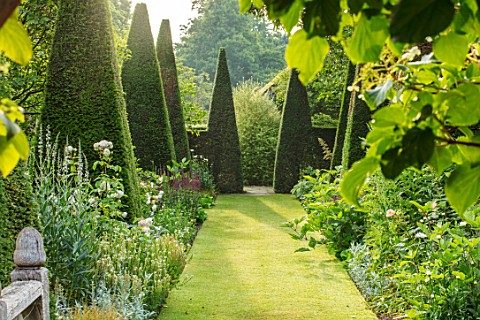 WOLLERTON_OLD_HALL_SHROPSHIRE_YEW_WALK_GRASS_PATH_PYRAMID_TOPIARY_CLIPPED_YEW_FORMAL_ARTS_AND_CRAFTS