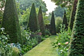 WOLLERTON OLD HALL, SHROPSHIRE: YEW WALK: GRASS, PATH, PYRAMID, TOPIARY CLIPPED YEW. FORMAL, ARTS AND CRAFTS, GREEN, LAWN, MAY, SUMMER