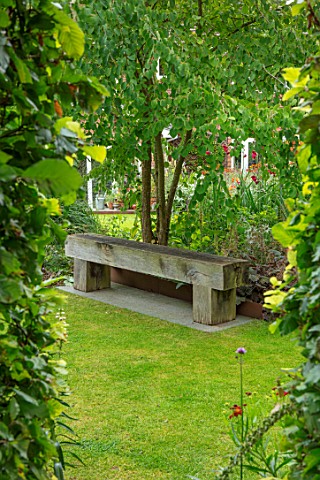 22A_THE_AVENUE_HITCHIN_HERTFORDSHIRE_DESIGNER_MARTIN_WOODS_LAWN_AND_WOODEN_BENCH_SEAT_BELOW_CERCIDIP