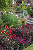 THE SALUTATION GARDEN, KENT: DAHLIAS IN BORDER BY LAWN IN FRONT OF STEPS, BALCONY. SUMMER, BLOOMING, FLOWERSM TROPICAL, EXOTIC