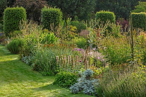 THE_SALUTATION_GARDEN_KENT_BORDER_BY_LAWN_IN_LATE_SUMMER_ENGLISH_COUNTRY_GARDEN