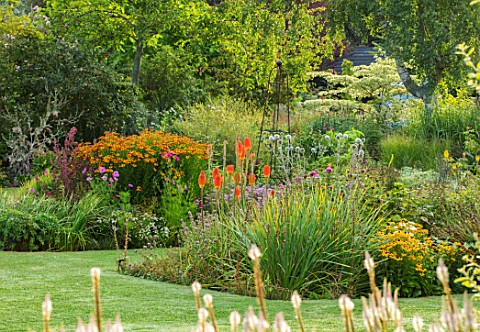 THE_SALUTATION_GARDEN_KENT_BORDER_BY_LAWN_IN_LATE_SUMMER_WITH_RED_HOT_POKERS_KNIPHOFIA_ENGLISH_COUNT