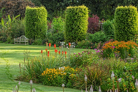 THE_SALUTATION_GARDEN_KENT_BORDERS_BY_LAWN_IN_LATE_SUMMER_WITH_RED_HOT_POKERS_KNIPHOFIA_BENCH_SEAT_W