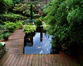 VIEW DOWN THE GARDEN WITH CARP POND AND WOODEN DECKING DESIGNER: RICHARD COWARD