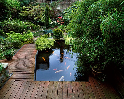 VIEW_DOWN_THE_GARDEN_WITH_CARP_POND_AND_WOODEN_DECKING_DESIGNER_RICHARD_COWARD