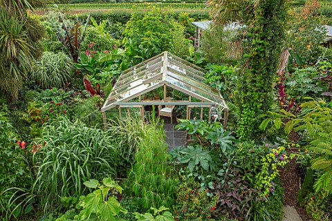 SWEETBRIAR_KENT_VIEW_OVER_BACK_GARDEN_WITH_GREENHOUSE_LARGE_LEAVED_PLANTS_TROPICAL_JUNGLE_EXOTIC_SMA