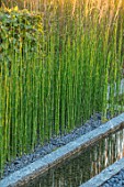 PRIVATE GARDEN, SURREY: DESIGNER ANTHONY PAUL: GRANITE RILL, POND, POOL, WATER, PEBBLES, FEATURE, REEDS, EQUISETUM, HYEMALE, HORSETAIL, GREEN, FOLIAGE, GRASS, PERENNIALS, RUSHES