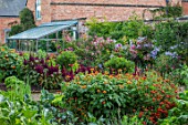 MORTON HALL GARDENS, WORCESTERSHIRE: KITCHEN GARDEN IN LATE SUMMER. BEDS WITH AMARANTHUS, TITHONIA. WALL, WALLED, COUNTRY, HOUSE, CLASSIC, VEGETABLE, POTAGER, GREENHOUSE