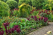 MORTON HALL GARDENS, WORCESTERSHIRE: KITCHEN GARDEN IN LATE SUMMER. BEDS WITH AMARANTHUS. WALL, WALLED, COUNTRY, HOUSE, CLASSIC, VEGETABLE, DARK, RED, DAHLIAS