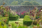 PARHAM, SUSSEX: WALLED, VEGETABLEL, POTAGER, GARDEN, BOX, EDGED, BEDS, PARTERRE, GLADIOLI, CUTTING, FLOWERS, BLOOMING, LATE, SUMMER, AUGUST