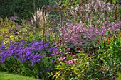 PETTIFERS, OXFORDSHIRE: KLIMT BORDER. ASTERS, PINK JAPANESE ANEMONE, ECHINACEA, BORDERS, FALL, AUTMN, LATE, SUMMER, GRASS, PATH, ENGLISH, COUNTRY, GARDEN