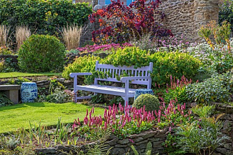 PETTIFERS_OXFORDSHIRE_LAWN_PURPLE_WOODEN_BENCH_SEAT_COTINUS_BORDERS_FALL_AUTUMN_LATE_SUMMER_PATH_ENG
