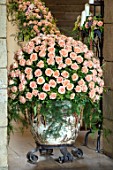 LEEDS CASTLE, KENT: CONTAINER IN HALLWAY, PEACH ROSES FROM MEIJER, HOLLAND, BY STYLIST PHILLIP HAMMOND, ROSES, ROSA PEARL AVALANCHE