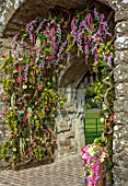 LEEDS CASTLE, KENT: FLORAL DECORATION, FLOWERS, ORCHIDS ON DRAWBRIDGE GATE, BARBICAN RUINS, FLORAL DESIGN BY TRACY ROWBOTTOM OF COUNTRY BASKETS