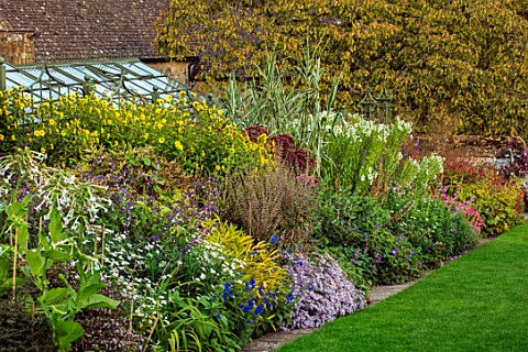 BOURTON_HOUSE_GARDEN_GLOUCESTERSHIRE_AUTUMN_BORDER_IN_SEPTEMBER_LAWN_GRASS_NICOTIANA_ASTERS_HERBACEO