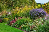 BOURTON HOUSE GARDEN, GLOUCESTERSHIRE: AUTUMN BORDER IN SEPTEMBER. LAWN, GRASS, SEDUMS, PENSTEMONS, ASTERS, BERGENIA, HERBACEOUS, LATE SUMMER, ENGLISH, COUNTRY, GARDEN