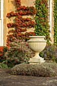 BOURTON HOUSE GARDEN, GLOUCESTERSHIRE: HOUSE, STONE URN, CONTAINER, AUTUMN, FALL, SEPTEMBER, ENGLISH, LATE, SUMMER, TRAINED PYRACANTHA ON WALL