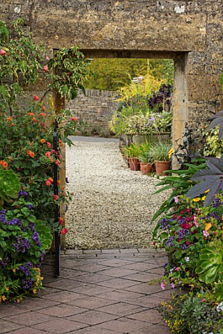 BOURTON_HOUSE_GARDEN_GLOUCESTERSHIRE_POTTED_EXOTIC_PLANTS_IN_CONTAINERS_BESIDE_WALL_PATH_LATE_SUMMER