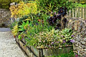 BOURTON HOUSE GARDEN, GLOUCESTERSHIRE: RAISED BED, CONTAINER PLANTED WITH SUCCULENTS, WOODEN, CACTUS, CACTI, FLOWERBEDS, BORDERS, RETAINING, WALLS