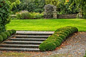 BOURTON HOUSE GARDEN, GLOUCESTERSHIRE: STEPS TO LAWN WITH CLIPPED TOPIARY BOX, BUXUS. EVERGREEN, FORMAL, ENGLISH, LAWN, GREEN, AUTUMN, FALL, SEPTEMBER, CLASSIC, ENGLISH