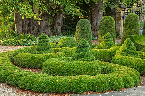 BOURTON_HOUSE_GARDEN_GLOUCESTERSHIRE_CLIPPED_TOPIARY_BOX_BUXUS_KNOT_EVERGREEN_FORMAL_ENGLISH_GREEN_A