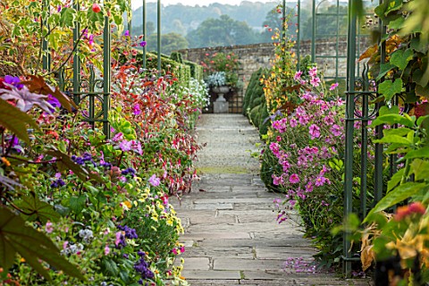 BOURTON_HOUSE_GARDEN_GLOUCESTERSHIRE_PATH_JAPANESE_ANEMONES_CONTAINERS_AGAINST_WALL_PLANTED_WITH_EXO