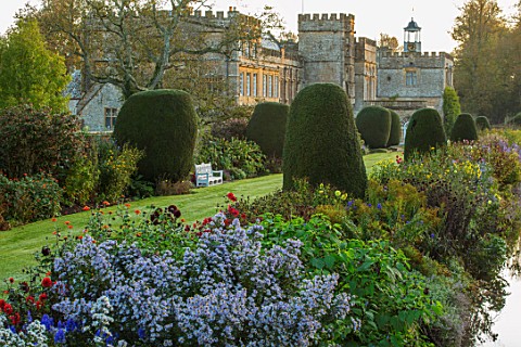 FORDE_ABBEY_SOMERSET_VIEW_OF_THE_LONG_BORDER_IN_OCTOBER_WITH_ASTER_X_FRIKARTII_MONCH_CLIPPED_YEW_TOP