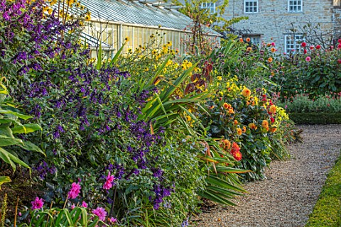 FORDE_ABBEY_SOMERSET_THE_VEGETABLE_GARDEN_POTAGER_GRAVEL_PATH_BY_GREENHOUSE_BORDER_WITH_SALVIA_ARMIS