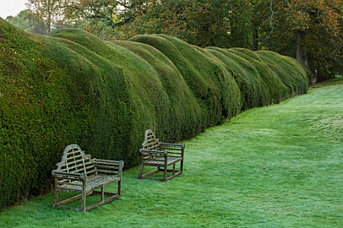 FORDE_ABBEY_SOMERSET_WOODEN_BENCHES_CHAIRS_BESIDE_CLIPPED_TOPIARY_YEW_HEDGE_AUTUMN_OCTOBER_ENGLISH_C