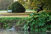 FORDE ABBEY, SOMERSET: VIEW ACROSS LONG POND WITH WATERFALL, GUNNERA MANICATA, WHITE, WOODEN, BENCH, SEAT. OCTOBER, AUTUMN