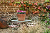 THE CONIFERS, OXFORDSHIRE: COURTYARD GARDEN, TABLE, CHAIRS, CUSHIONS, CONTAINER WITH CYCLAMEN ROSE, WALL, VITIS COIGNETIAE, PATIO, STONE, CONTAINERS, AUTUMN, FALL, OCTOBER
