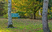 BLUEBELL ARBORETUM AND NURSERY, DERBYSHIRE: AUTUMN, FALL COLOURS WITH BLUE SEAT, BENCH. OCTOBER, TREES, LEAVES, GARDEN
