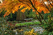 MORTON HALL, WORCESTERSHIRE: AUTUMN, FALL: STROLL GARDEN, LOWER POND, POOL, WATER, REFLECTED, REFLECTIONS, ACER PALMATUM SEIRYU, MAPLES, JAPANESE, WOODEN, BENCH, SEAT