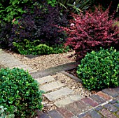 TOWN GARDEN WITH PATH OF RAILWAY SLEEPERS AND GRAVEL SURROUNDED BY SHRUBS. DESIGNER: JILL BILLINGTON