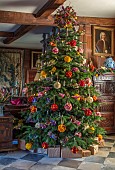 BADDESLEY CLINTON, WARWICKSHIRE: THE NATIONAL TRUST- CHRISTMAS, 15TH AND 16TH CENTURY MOATED MANOR HOUSE. GREAT HALL, CHRISTMAS TREE