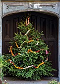 BADDESLEY CLINTON, WARWICKSHIRE: THE NATIONAL TRUST- CHRISTMAS, 15TH AND 16TH CENTURY MOATED MANOR HOUSE. CHRISTMAS TREE IN INNER COURTYARD DOORWAY