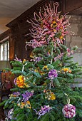 BADDESLEY CLINTON, WARWICKSHIRE: THE NATIONAL TRUST- CHRISTMAS, 15TH AND 16TH CENTURY MOATED MANOR HOUSE. CHRISTMAS TREE IN LIBRARY, DRIED FLOWER BAUBLES, DECORATION