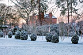 MORTON HALL, WORCESTERSHIRE: WINTER - FROST, SNOW, LAWN, VIEW OF HOUSE, ENGLISH, COUNTRY, GARDEN, COLD, DECEMBER, AVENUE OF VIBURNUMS, BETULA, BIRCHES, DAWN, SUNRISE
