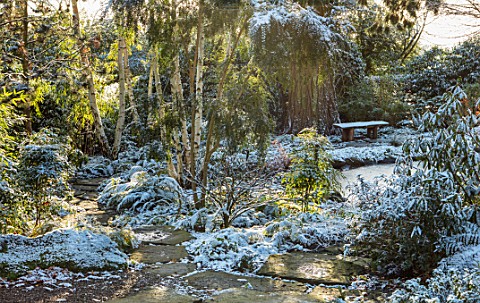 MORTON_HALL_WORCESTERSHIRE_WINTER__PATH_IN_LOWER_POND_IN_FROST_SNOW_FERNS_WATER_FOLIAGE_GREEN_WHITE_